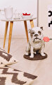 Lolipoplu Bulldog Heykel