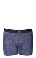John Frank Mavi Boxer