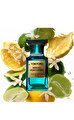 Neroli Portofino Spray Edp Unisex Parfüm 50 ml