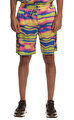 Les Benjamins Renkli Şort