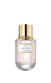 Dream Dusk Edp Kadın Parfüm 100 ml