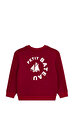 Petit Bateau Sweatshirt