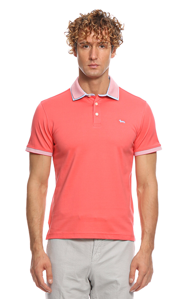 Harmont blaine polo clearance