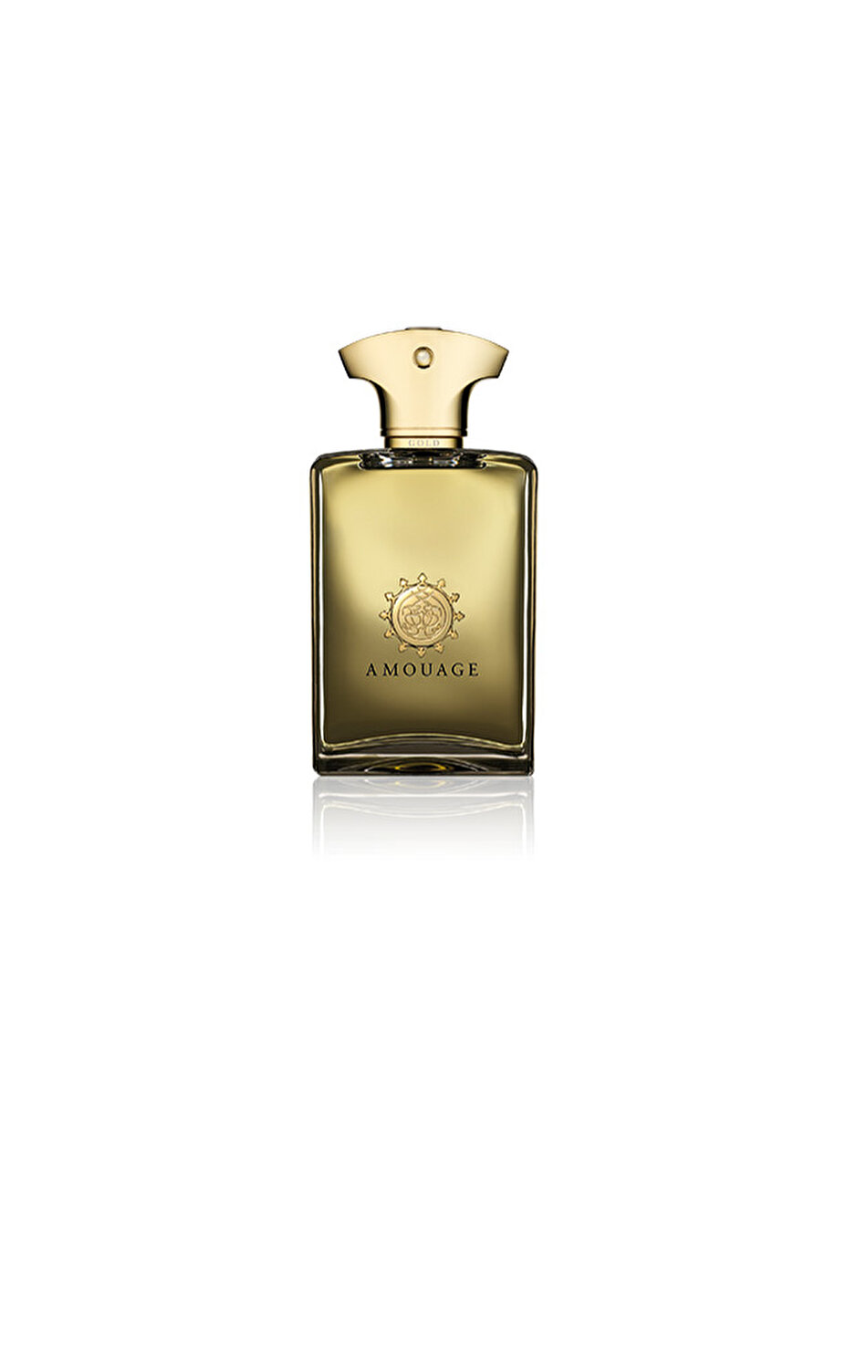 Xo Gold Edt 100ml Erkek Parfum