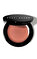 Bobbi Brown Sheer Clr Cheek Tintshe Krem Allık #1