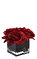 Herve Gambs Çiçek #1