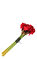 Herve Gambs Çiçek #1