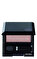 Shiseido Luminizing Satin  Eye Color Rd709 Far #1