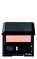 Shiseido Luminizing Satin  Eye Color Pk319 Far #1