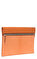 Victoria Beckham Clutch #2