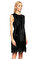 Alberta Ferretti Dantel İşlemeli Siyah Elbise #3