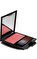 Shiseido Luminizing Satin Face Color Pk 304 Allık #1