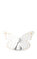 Lladro Kelebek Biblo Beyaz- Altın  #1