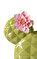 Lladro Opuntia Kaktüs Bahçeleri Mumluk Yeşil   #2