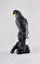 Mavak Papağanı Siyah Altın (Limited Edition 1000 pcs) #4
