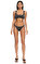 Miyuki Bikini #1