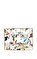 Garden's BirdsDikdörtgen Dekoratif Tabak 20x16 cm #1