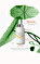 The Stem Cell Lab 101 Hair Serum 50 ml #2