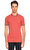 Ted Baker Pembe Polo T-Shirt