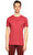 Hackett Bordo T-Shirt