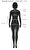 Helmut Lang Ten Rengi Body