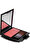 Shiseido Luminizing Satin Face Color Pk 304 Allık