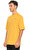 Alexander St. Sarı T-Shirt