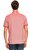 Ted Baker Pembe Polo T-shirt