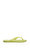 Slim Matcha Green Terlik