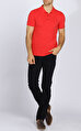 Armani Collezioni Polo T-Shirt