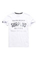 Superdry T-Shirt