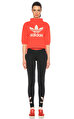 adidas originals Sweatshirt