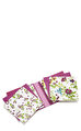 Laura Ashley Parma Violets Boxed Ntecrd Set Defter