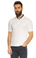 Armani Collezioni Polo T-Shirt