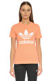 adidas originals T-Shirt