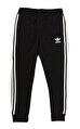 adidas originals Pantolon