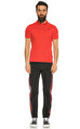 Alexander McQueen Polo T-Shirt