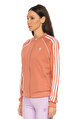 Adidas Originals Çizgili Pembe Eşofman Üstü