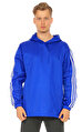 adidas originals Ceket