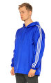 adidas originals Ceket