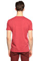 Hackett Bordo T-Shirt