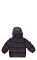 Moncler Lacivert Mont