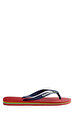 Brasil Logo Terlik