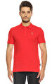 Hawksbill Kırmızı T-Shirt