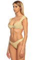 Altın Rengi Bikini Altı