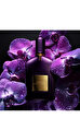 Tom Ford Velvet Orchid