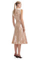 Sequin Pearl Trim Midi Elbise