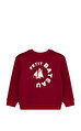 Petit Bateau Sweatshirt